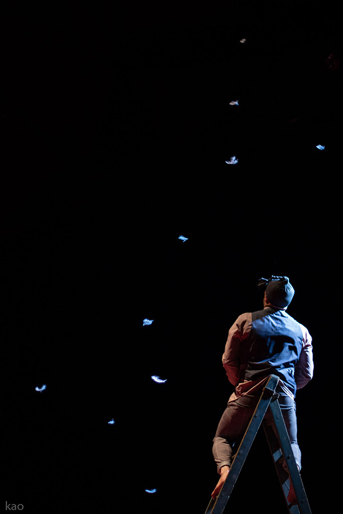 photo de danse, un danseur positionné en haut d'une echelle avec des plumes qui tombent.